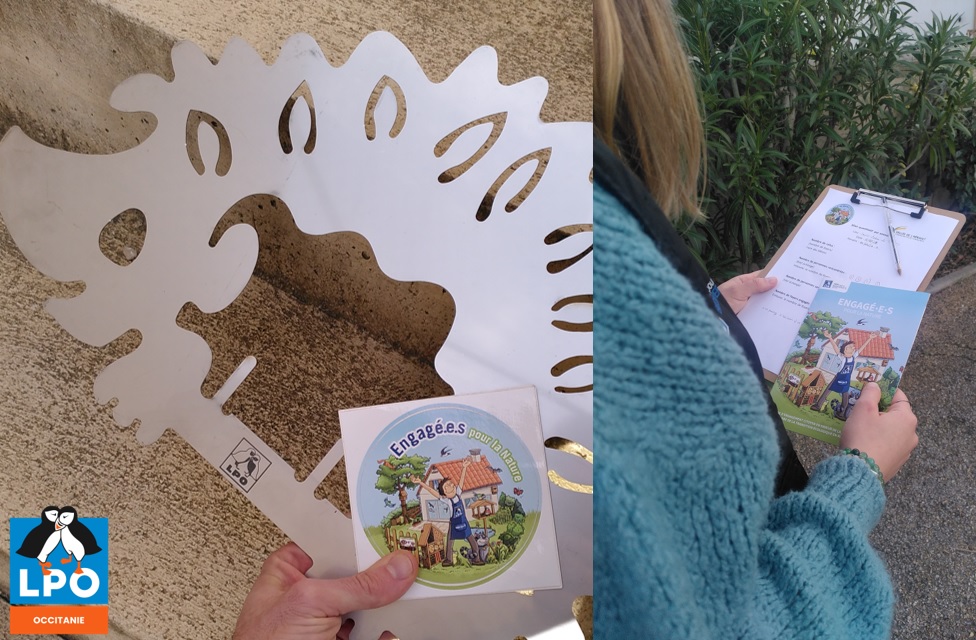 Poursuite de notre campagne de mobilisation citoyenne en faveur de la biodiversité en porte-à-porte